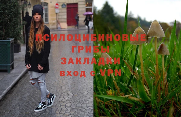 ПСИЛОЦИБИНОВЫЕ ГРИБЫ Волосово