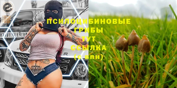 метадон Верея