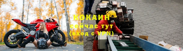 ПСИЛОЦИБИНОВЫЕ ГРИБЫ Волосово
